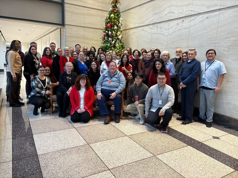 Chicago Holiday Photo (1)