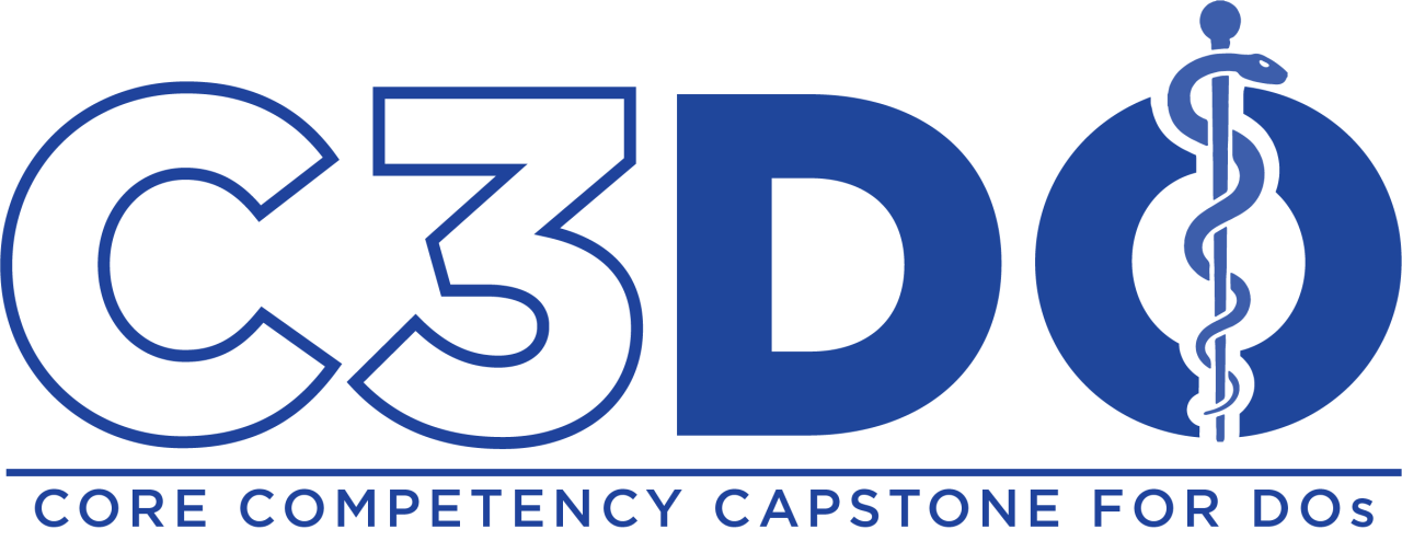 C3DO working logo blue and light blue 3